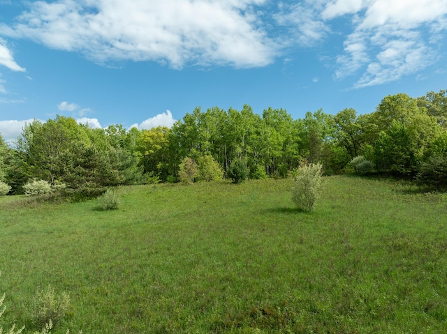 80 E 24th St, Reed City, MI 49677 - photo 3