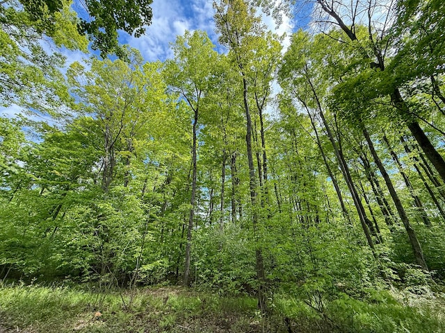 80 E 24th St, Reed City, MI 49677 - photo 11