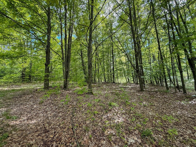 80 E 24th St, Reed City, MI 49677 - photo 15