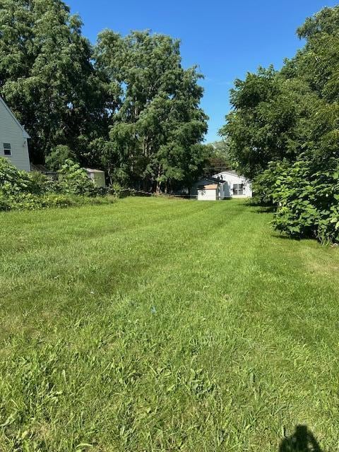 341 Orchard St, Ypsilanti, MI 48197 - photo 3