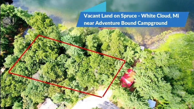 VACANT S Spruce Ave, White Cloud, MI 49349 - photo 1