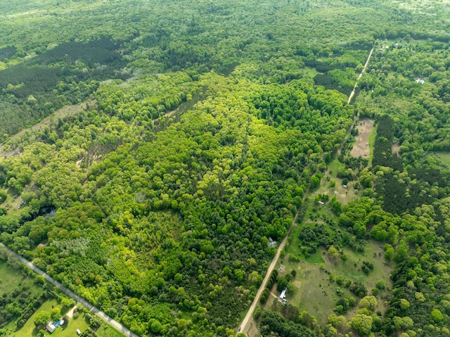 V/L S Deer Lake Rd, Reed City, MI 49677 - photo 3