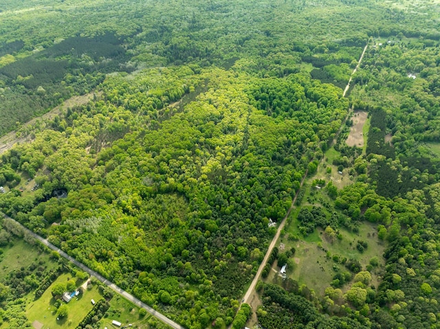 V/L S Deer Lake Rd, Reed City, MI 49677 - photo 4