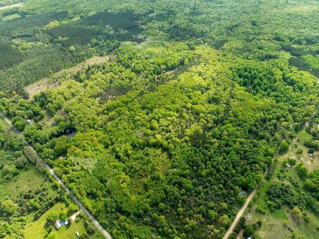 V/L S Deer Lake Rd, Reed City, MI 49677 - photo 5