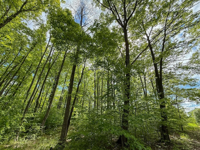V/L S Deer Lake Rd, Reed City, MI 49677 - photo 7