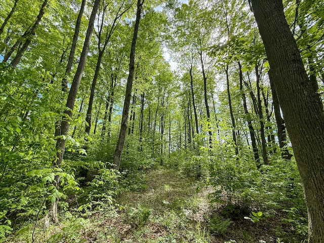 V/L S Deer Lake Rd, Reed City, MI 49677 - photo 8