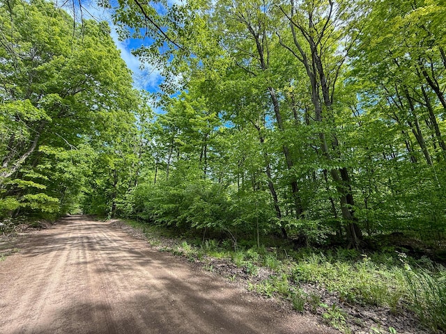 V/L S Deer Lake Rd, Reed City, MI 49677 - photo 9