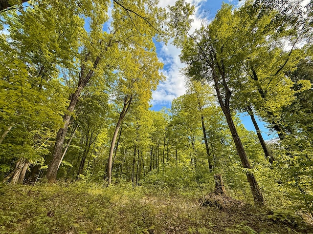 V/L S Deer Lake Rd, Reed City, MI 49677 - photo 10