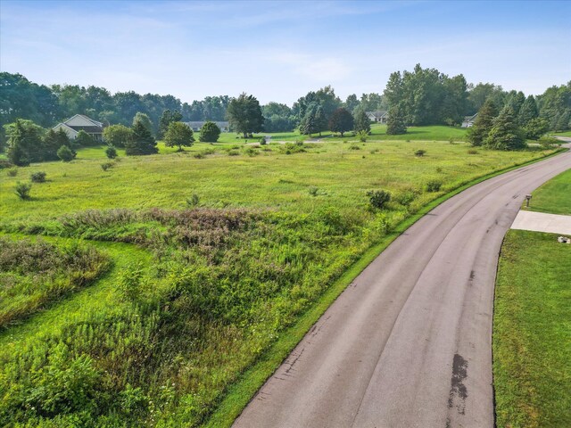 Hickory Hill Ln, Hastings, MI 49058 - photo 4