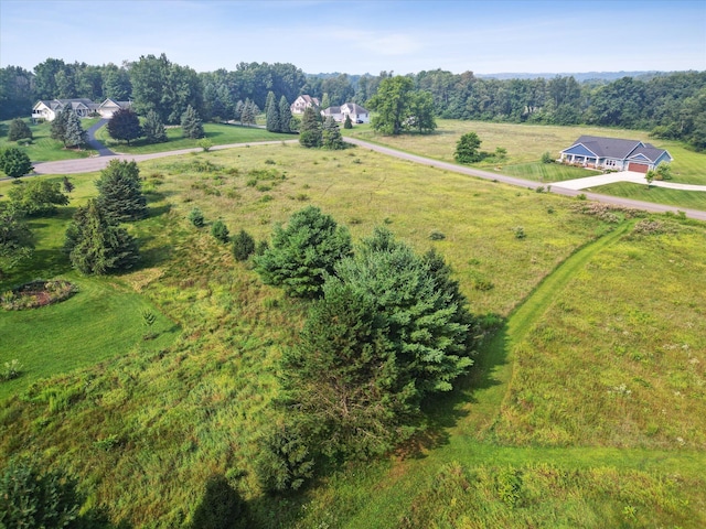 Hickory Hill Ln, Hastings, MI 49058 - photo 5