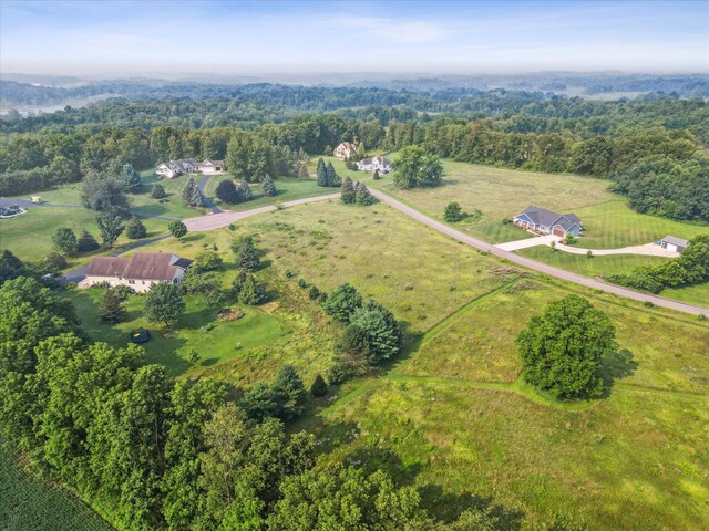 Hickory Hill Ln, Hastings, MI 49058 - photo 9