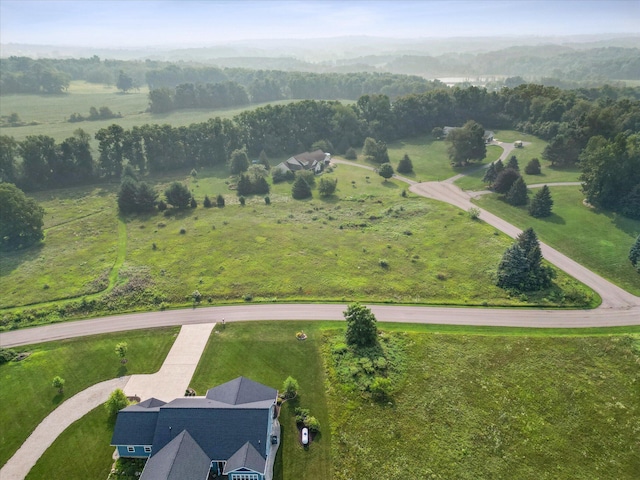 Hickory Hill Ln, Hastings, MI 49058 - photo 11