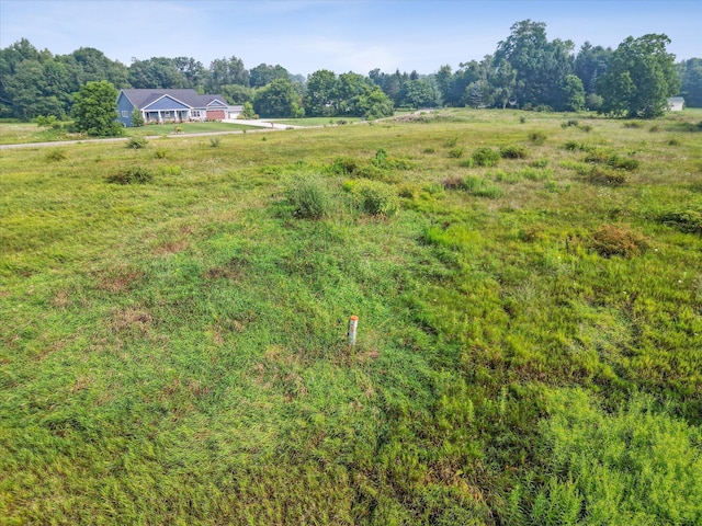 Hickory Hill Ln, Hastings, MI 49058 - photo 12