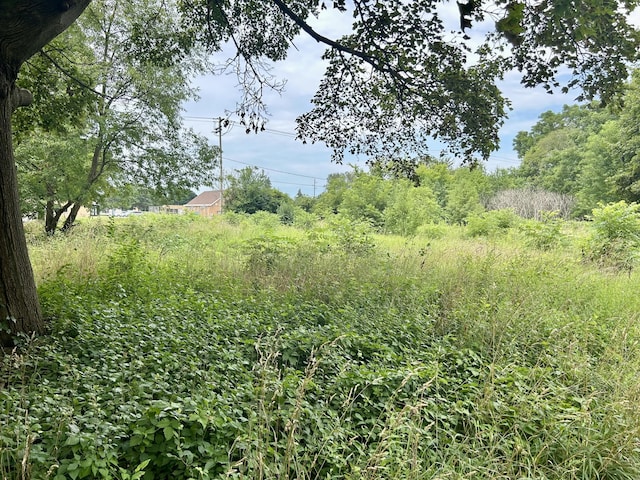 890 Fairfield Ave, Battle Creek, MI 49015 - photo 1
