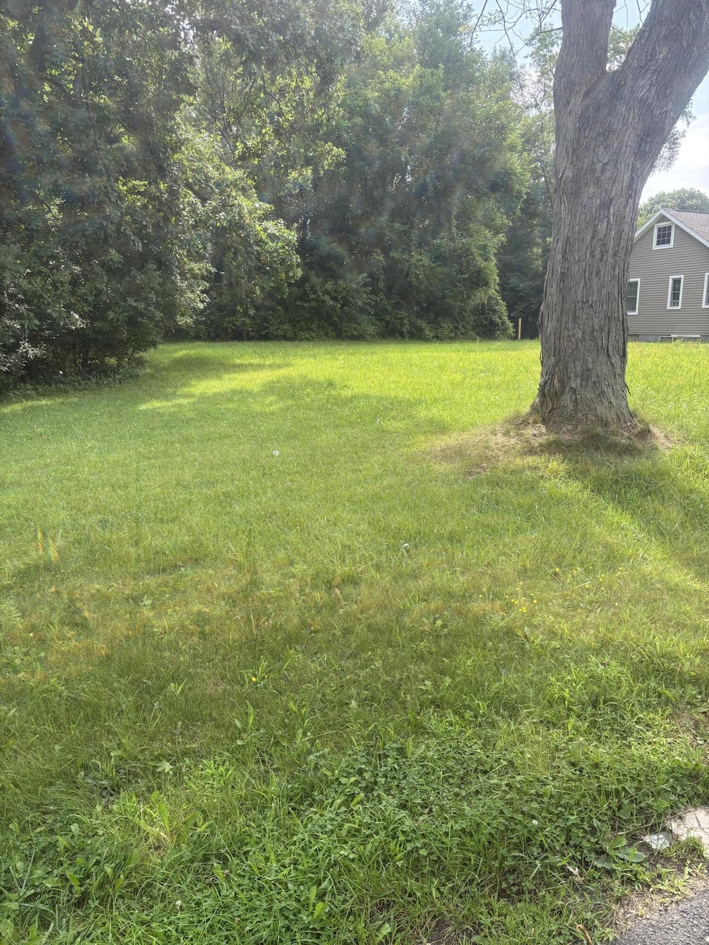 2842 Virginia Ave, Kalamazoo, MI 49004 - photo 2