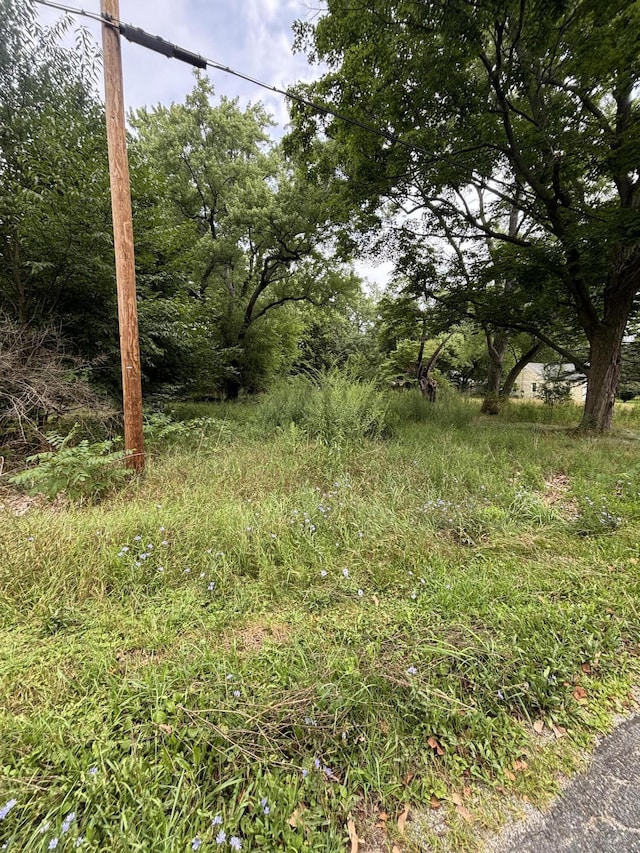 410 G Ave W, Kalamazoo, MI 49004 - photo 4