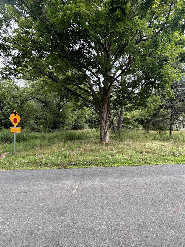 410 G Ave W, Kalamazoo, MI 49004 - photo 3