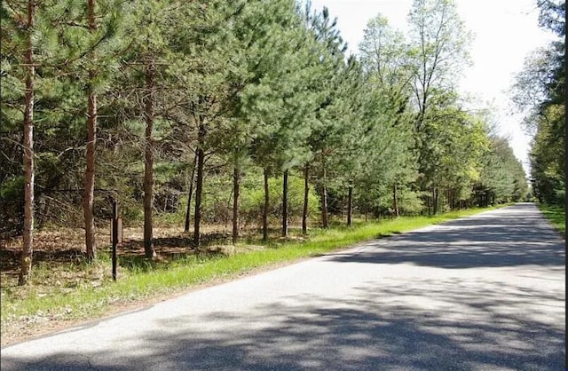 9113 Forest Pines Dr, Mecosta, MI 49332 - photo 3