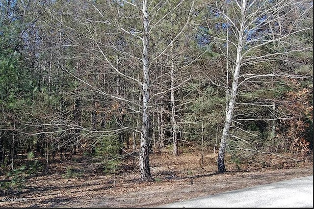 9113 Forest Pines Dr, Mecosta, MI 49332 - photo 6