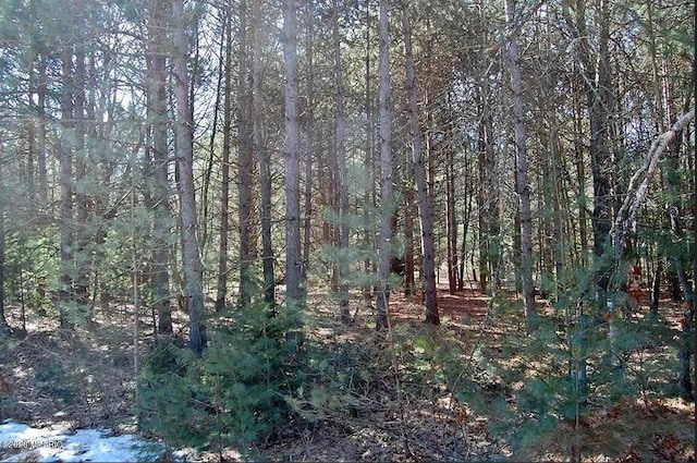 9113 Forest Pines Dr, Mecosta, MI 49332 - photo 7