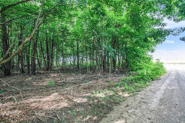 V/L Twin Shores Dr, Dowagiac, MI 49047 - photo 2