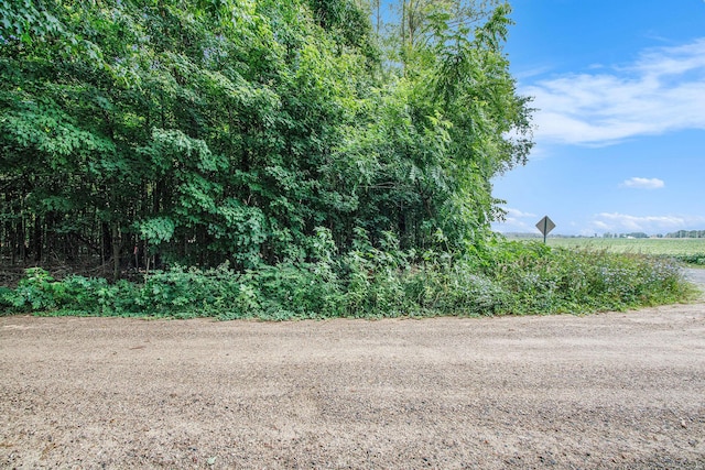 V/L Twin Shores Dr, Dowagiac, MI 49047 - photo 4
