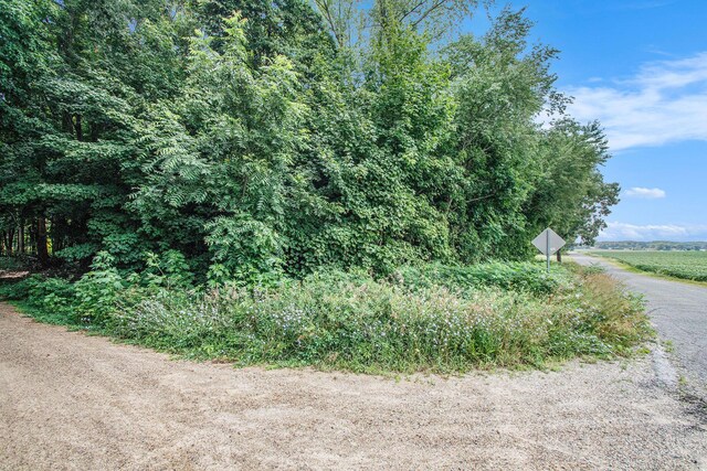 V/L Twin Shores Dr, Dowagiac, MI 49047 - photo 5