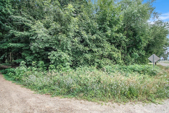 V/L Twin Shores Dr, Dowagiac, MI 49047 - photo 8