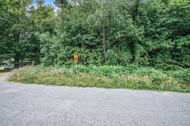V/L Twin Shores Dr, Dowagiac, MI 49047 - photo 11