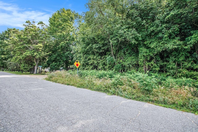 V/L Twin Shores Dr, Dowagiac, MI 49047 - photo 10