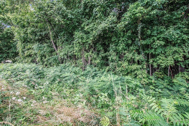 V/L Twin Shores Dr, Dowagiac, MI 49047 - photo 6