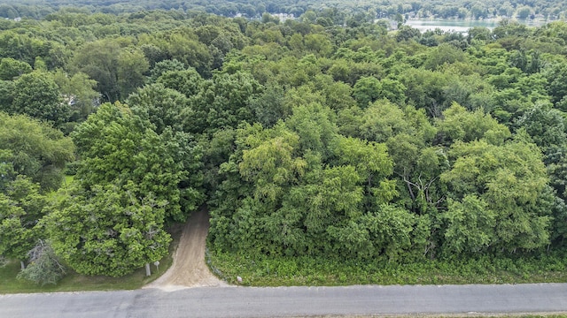 V/L Twin Shores Dr, Dowagiac, MI 49047 - photo 12