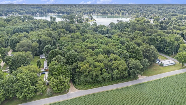 V/L Twin Shores Dr, Dowagiac, MI 49047 - photo 3