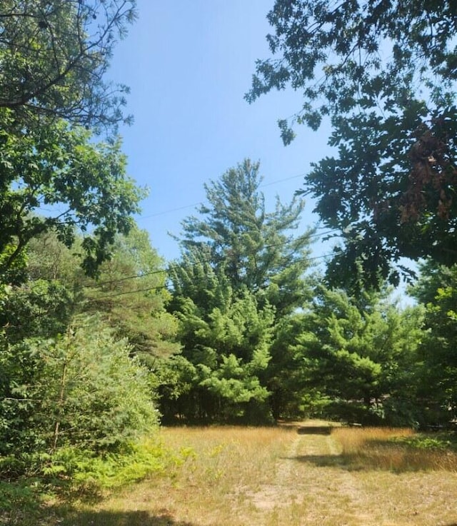 1258 N Birch St, White Cloud, MI 49349 - photo 13