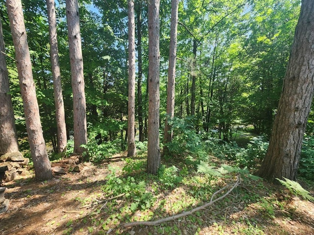 1258 N Birch St, White Cloud, MI 49349 - photo 14