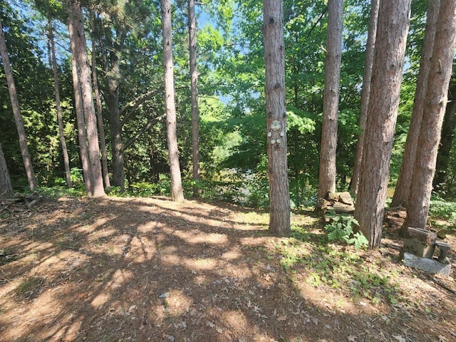 1258 N Birch St, White Cloud, MI 49349 - photo 4