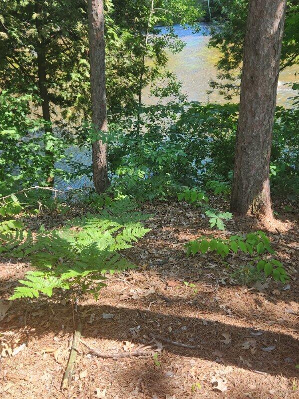 1258 N Birch St, White Cloud, MI 49349 - photo 5