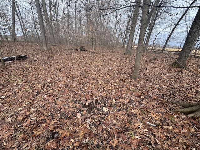 VL25A 89th St, Decatur, MI 49045 - photo 8