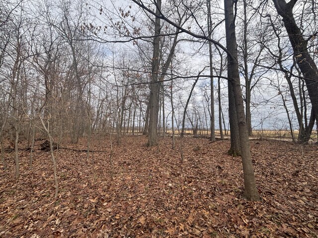VL25A 89th St, Decatur, MI 49045 - photo 10