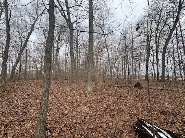 VL25A 89th St, Decatur, MI 49045 - photo 11