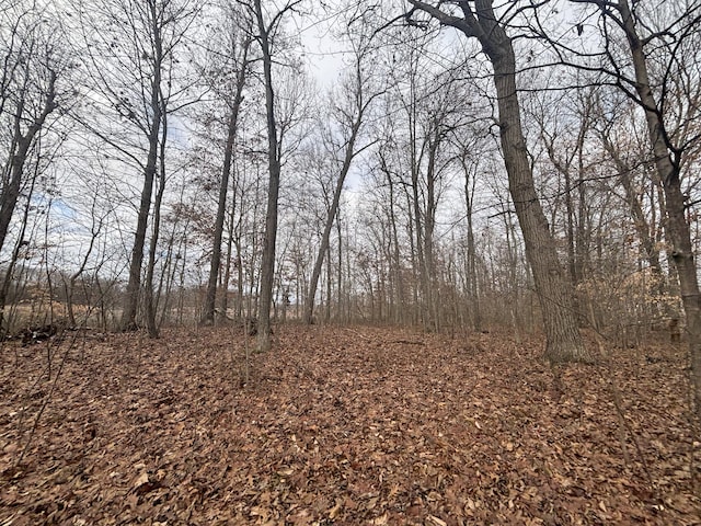 VL25A 89th St, Decatur, MI 49045 - photo 12