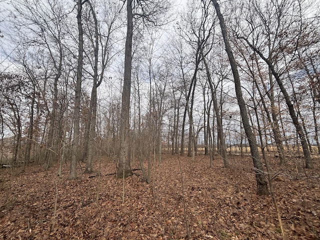 VL25A 89th St, Decatur, MI 49045 - photo 13