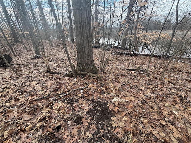 VL25A 89th St, Decatur, MI 49045 - photo 15