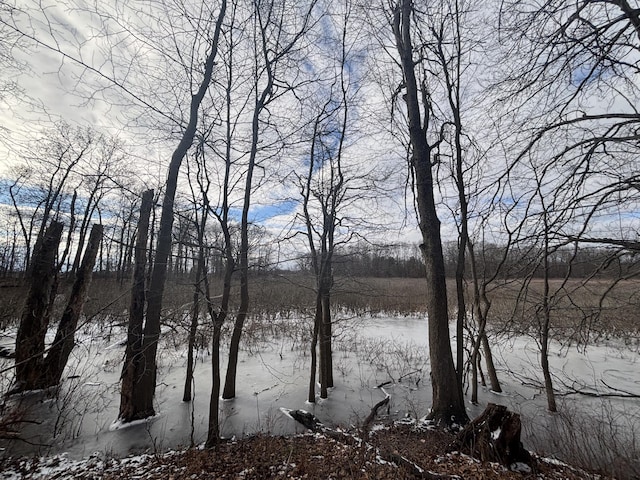 VL25A 89th St, Decatur, MI 49045 - photo 20