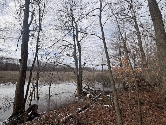 VL25A 89th St, Decatur, MI 49045 - photo 21