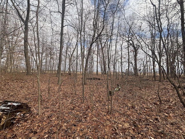 VL25A 89th St, Decatur, MI 49045 - photo 22
