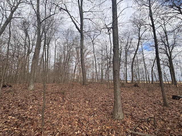VL25A 89th St, Decatur, MI 49045 - photo 23