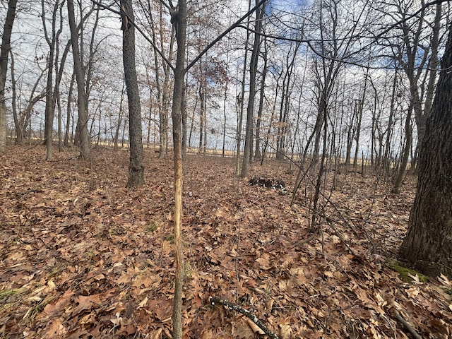 VL25A 89th St, Decatur, MI 49045 - photo 24