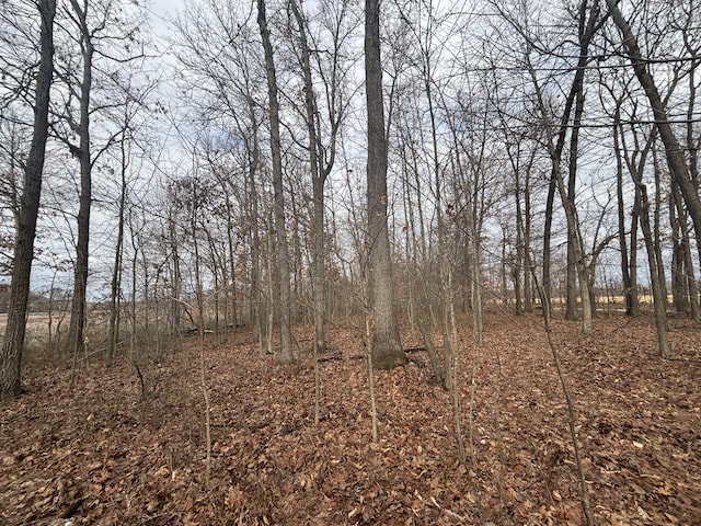 VL25A 89th St, Decatur, MI 49045 - photo 25