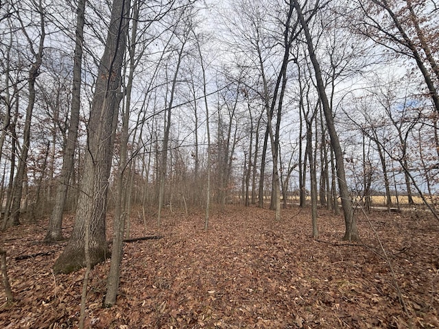 VL25A 89th St, Decatur, MI 49045 - photo 26